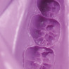 Alginate Hydrogum 5 - Zhermack